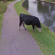 Screenshot via Google Maps.